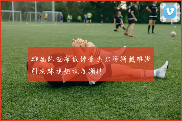 雄鹿队宣布裁掉奈杰尔海斯戴维斯引发球迷热议与期待